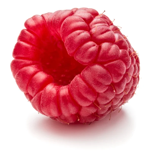 成熟的红树莓 — 图库照片