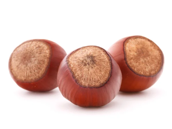 Three hazelnuts on white — Stock Photo, Image