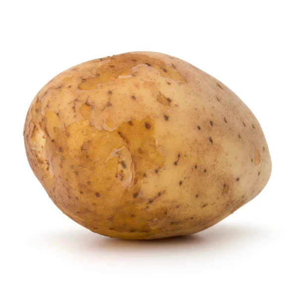 En potatis rotsaker — Stockfoto