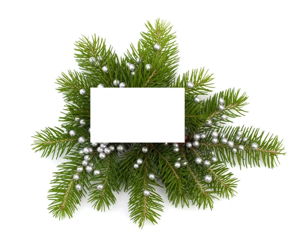 Christmas  greeting card — Stock Photo, Image