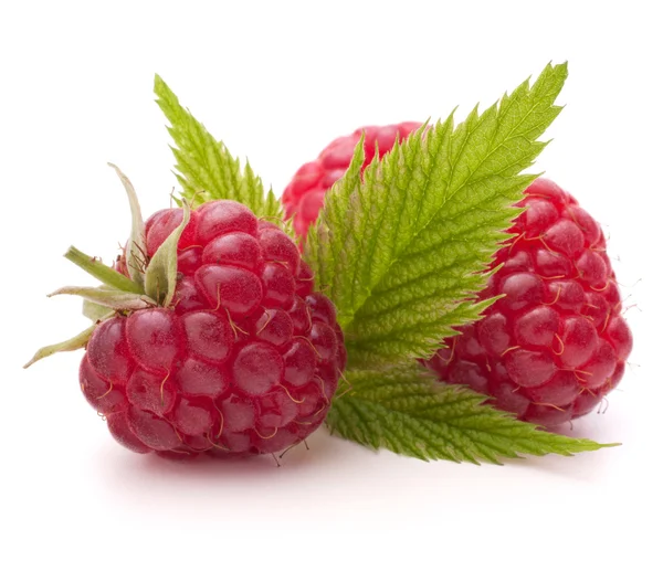 新鲜红树莓 — 图库照片