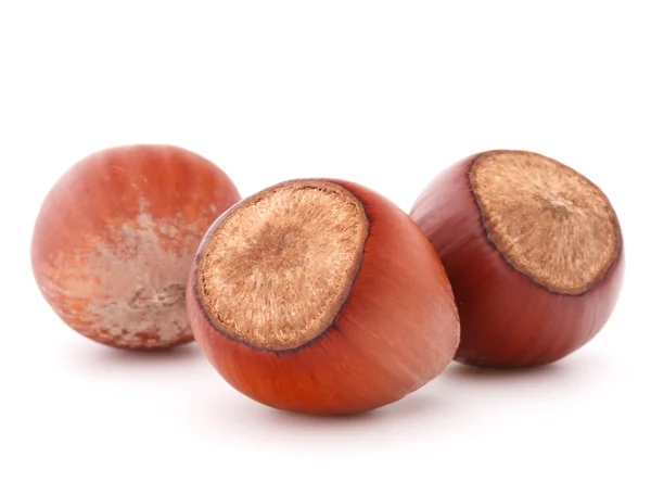 Three hazelnuts on white — Stock Photo, Image