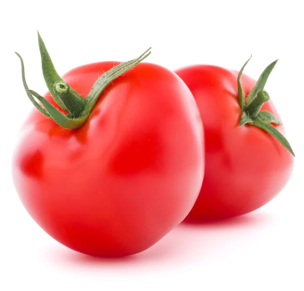 Два свежих помидора — стоковое фото