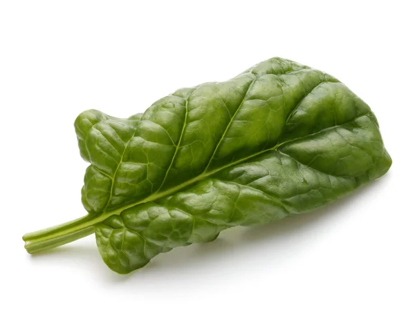 Baby spinach leaf — Stock Photo, Image