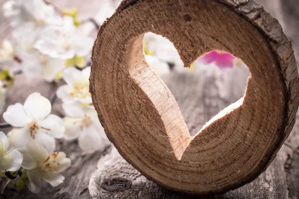 Cuore in legno antico — Foto Stock