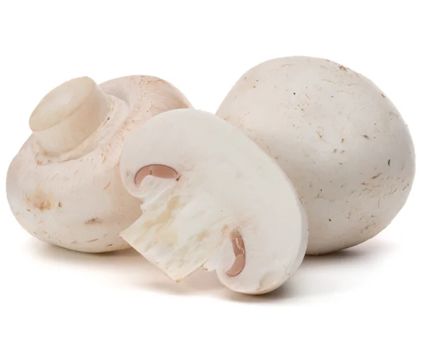 Fresh champignons on white — Stock Photo, Image