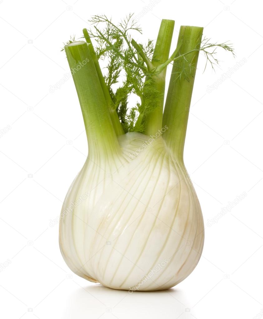 Fresh fennel bulb