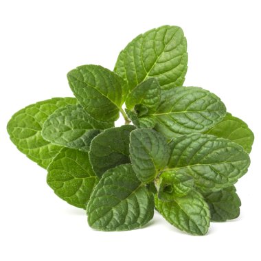 Taze nane yaprakları