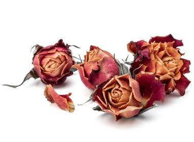 kurutulmuş gül çiçek