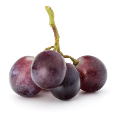 kırmızı üzüm meyveler