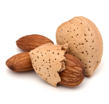 Badem fındık kabuğundaki ve kabuklu 