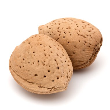 badem fındık kabuğu 