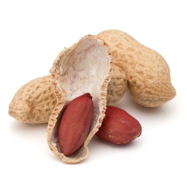 açılmış ve bütün fıstık