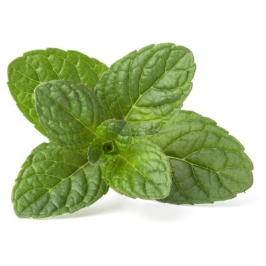 Taze nane yaprakları