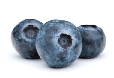 Olgun taze yaban mersini