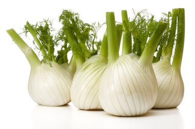 Taze rezene Ampüller