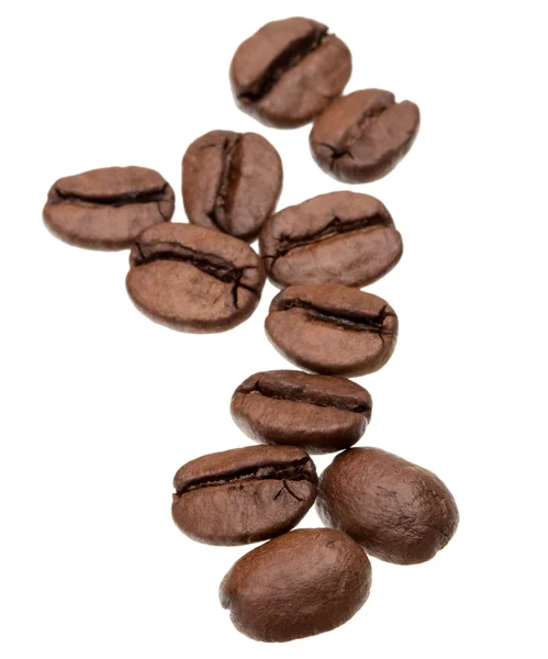 Pörkölt kávébab — Stock Fotó