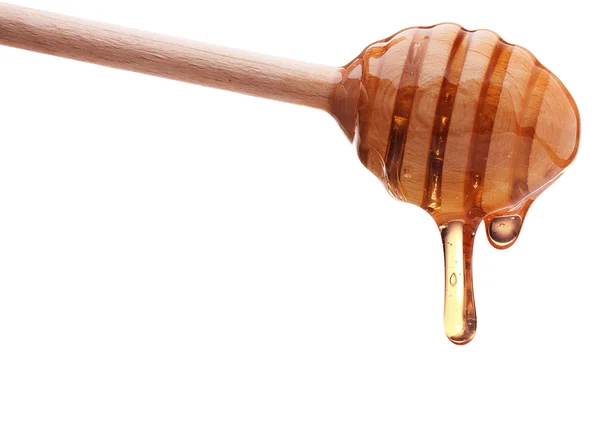 Honing druipend uit een honey dipper — Stockfoto