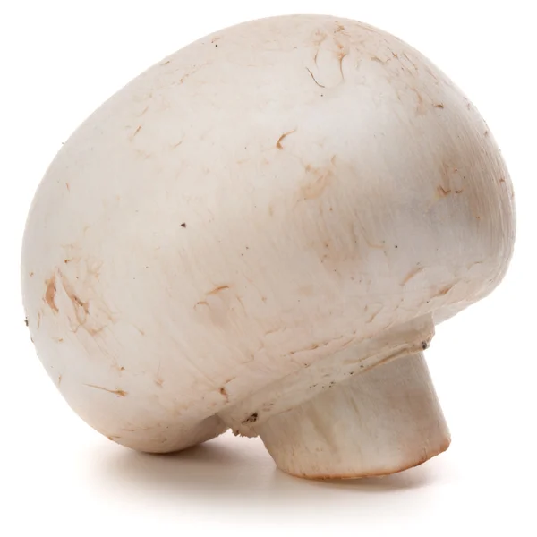 Beyaz üzerine taze champignon — Stok fotoğraf