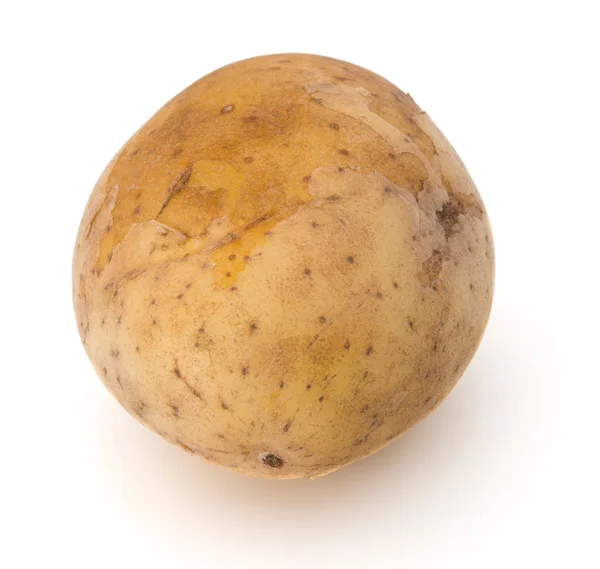 One potato tuber — Stock Photo, Image