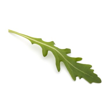 taze Roka Salatası