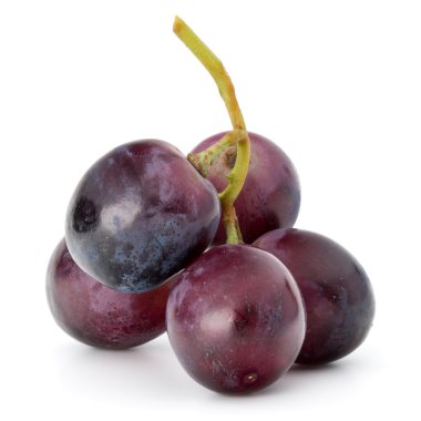 kırmızı üzüm meyveler