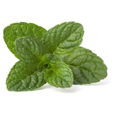 Taze nane yaprakları 