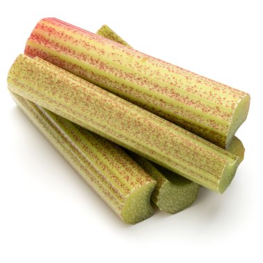 Taze ravent kaynaklanıyor