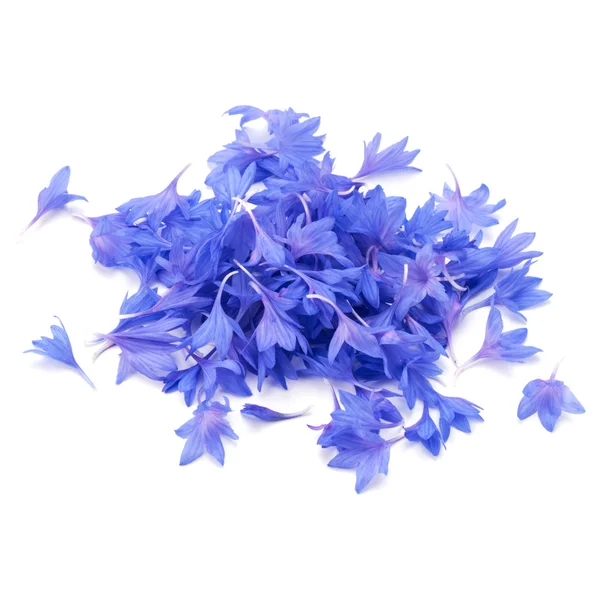 Blue Cornflower Petals — Stock Photo, Image