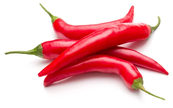 Červené chilli papričky — Stock fotografie