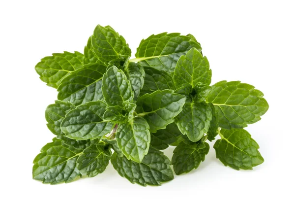 Fresh mint leaves — Stock Photo, Image