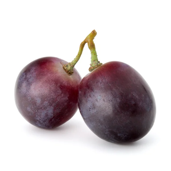 Rode druif bessen — Stockfoto