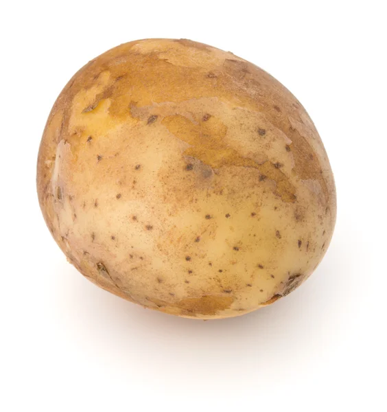 Nya potatis rotsaker — Stockfoto