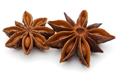 yıldız anason baharat