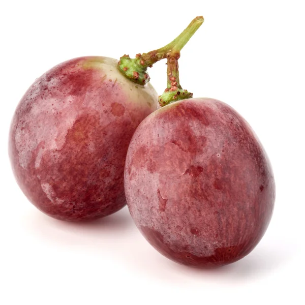 Bagas de uva vermelha cacho — Fotografia de Stock