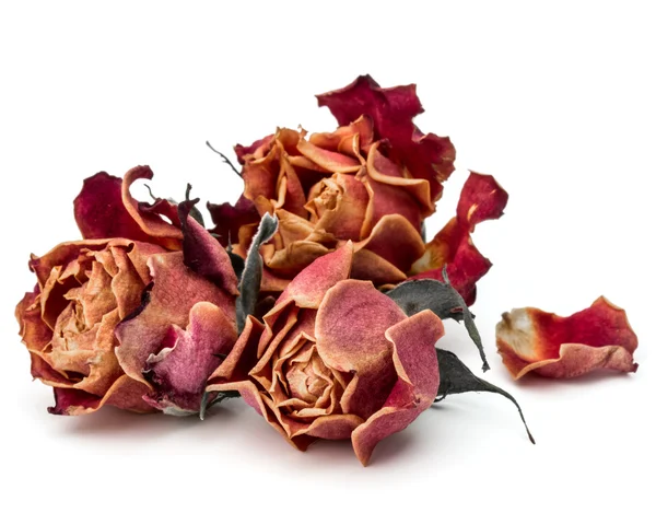 Cabeças de flores de rosa secas — Fotografia de Stock