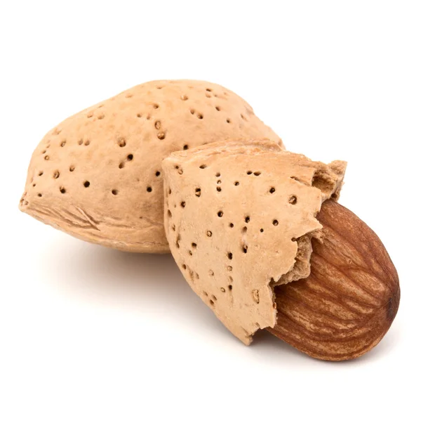 Almond nuts in shell — Stock Photo, Image