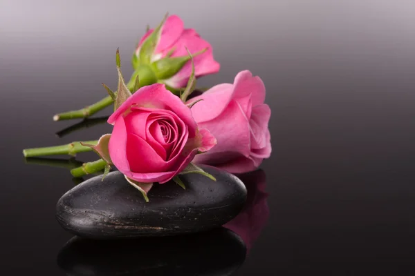 Pedra de spa e flores rosa — Fotografia de Stock