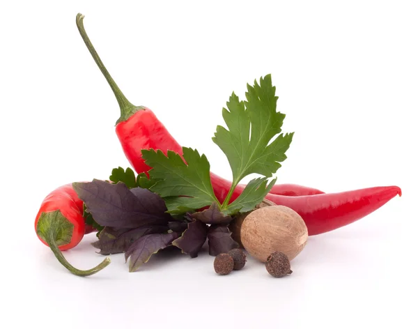 Hot red chili or pepper and aromatic herbs — Stock Photo, Image