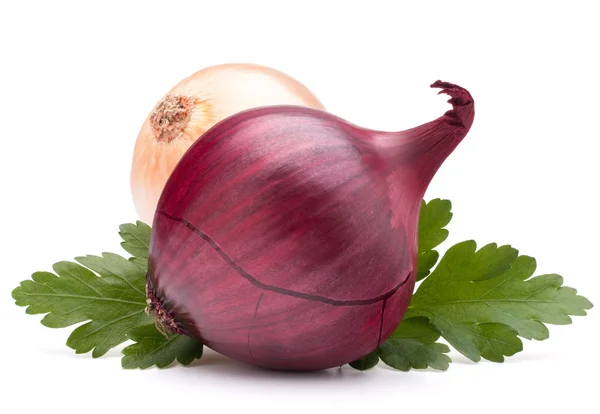 Onion vegetable bulbs — Stock Photo, Image