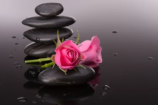 Wellness kameny a květy růže zátiší. koncepce zdravotnictví. — Stock fotografie