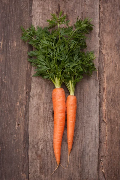 Морква свіжа букет — стокове фото