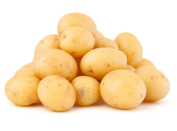 Nieuwe aardappelknollen — Stockfoto