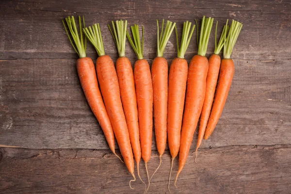 Ramo de zanahoria fresca — Foto de Stock