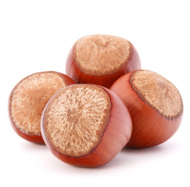 fındık veya fındık ceviz