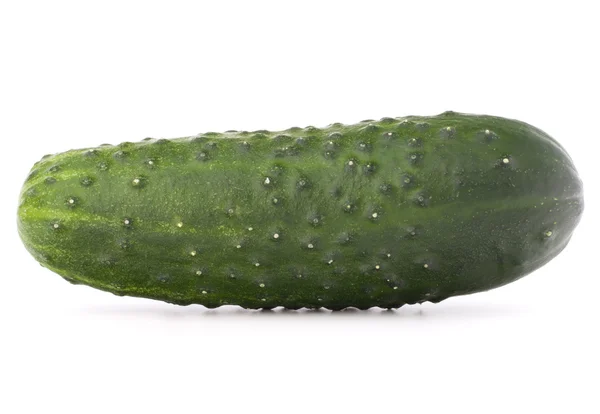 Verdura di cetriolo — Foto Stock