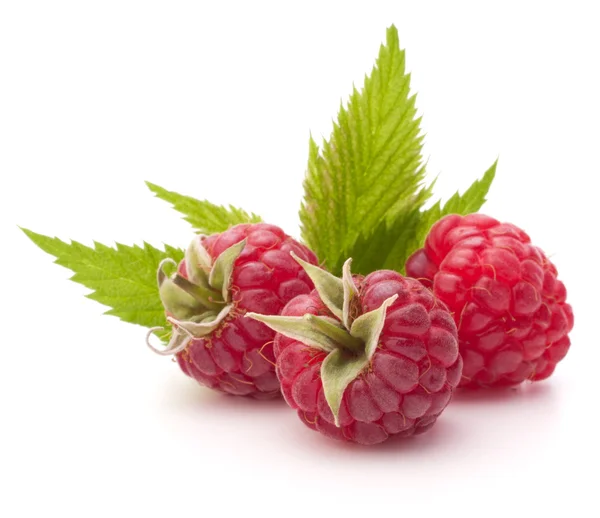 Süße Himbeeren — Stockfoto