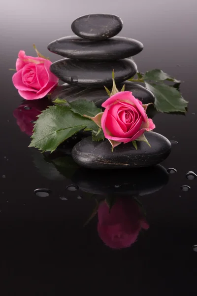 Курортный камень и розовые цветы натюрморт . — стоковое фото