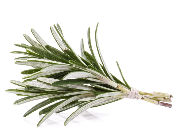 Rosemary herb spice leaves — Stock Photo, Image