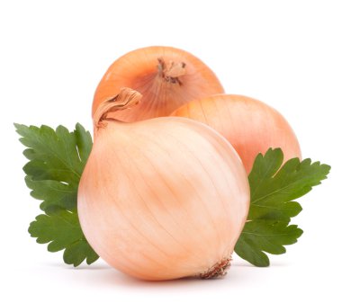 soğan sebze ampul ve maydanoz yaprakları